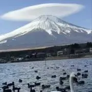 HAYATEの画像