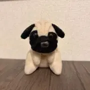 じゅんの画像