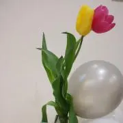 pow!の画像