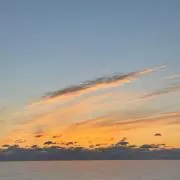 ぽんの画像