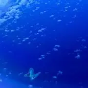 もち