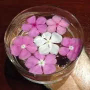 su-waの画像
