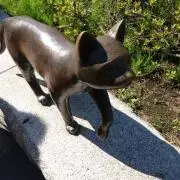 ふみか