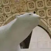 ポンポの画像
