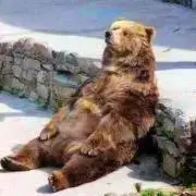 プーさんの画像