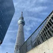 ラロの画像