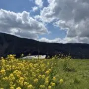 ことことの画像