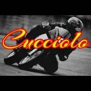 Cuccioloの画像