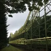 オルフェーヴルの画像