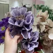 purpleの画像