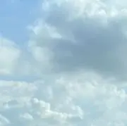 星来の画像