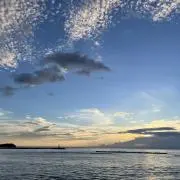 rrrの画像