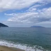 ghnの画像