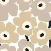 noco☺︎の画像