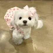 mimuの画像