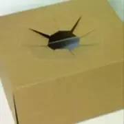 ぺぺの画像