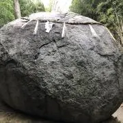 てつちゃんの画像