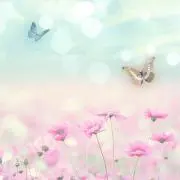 ｈａｎａ♪