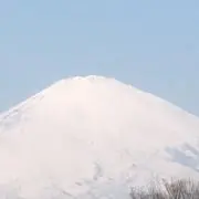 Tomの画像