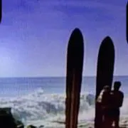 忘れん坊将軍 (☆プロフ必読☆)の画像