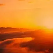 信の画像