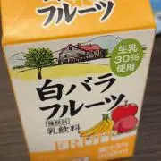 白薔薇の画像