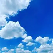 すぅの画像