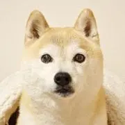 OsaKanaの画像