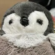 ぺんちゃん(発送土日のみ)