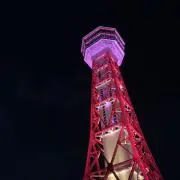 BEATRICE フェイクレザー ファー付き ジャケット アイボリー - メルカリ