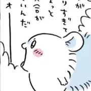 モモンガの画像