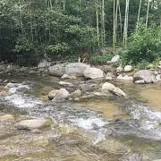 Ryuusuの画像
