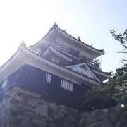 みーさんの画像