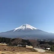 Mcaの画像