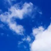 あずきの画像