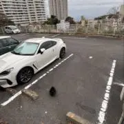 カチコウコの画像