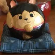 エミリーの画像