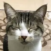 ふぇんたま