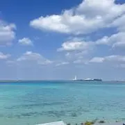はなまる★ジャンル関係なく出品致しますの画像