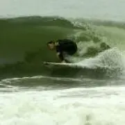 GONZO