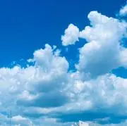 Albionᴥの画像
