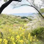 teteの画像