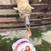 ゆぅちゃん