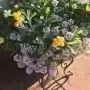 まる子