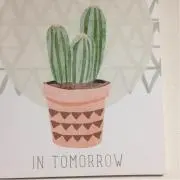 M a r i o