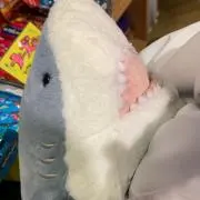 こまこまの画像
