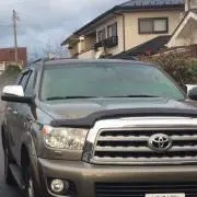 しんの画像