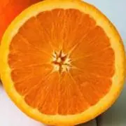 みかんの画像