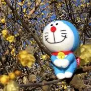 ひなちゃんの画像