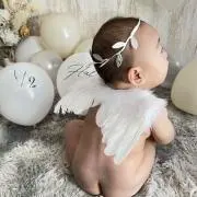 なるみの画像